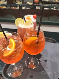 Barman barista esperto 4 /3 livello
