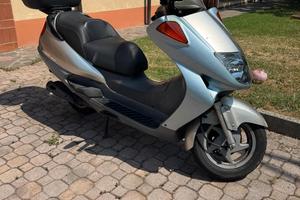 scoter