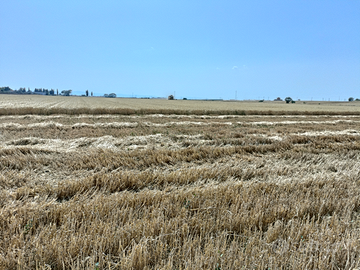 Azienda agricola a 1200/ha