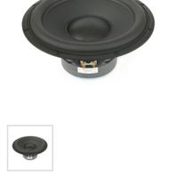 Subwoofer Scan Speak discovery 30 cm NUOVO