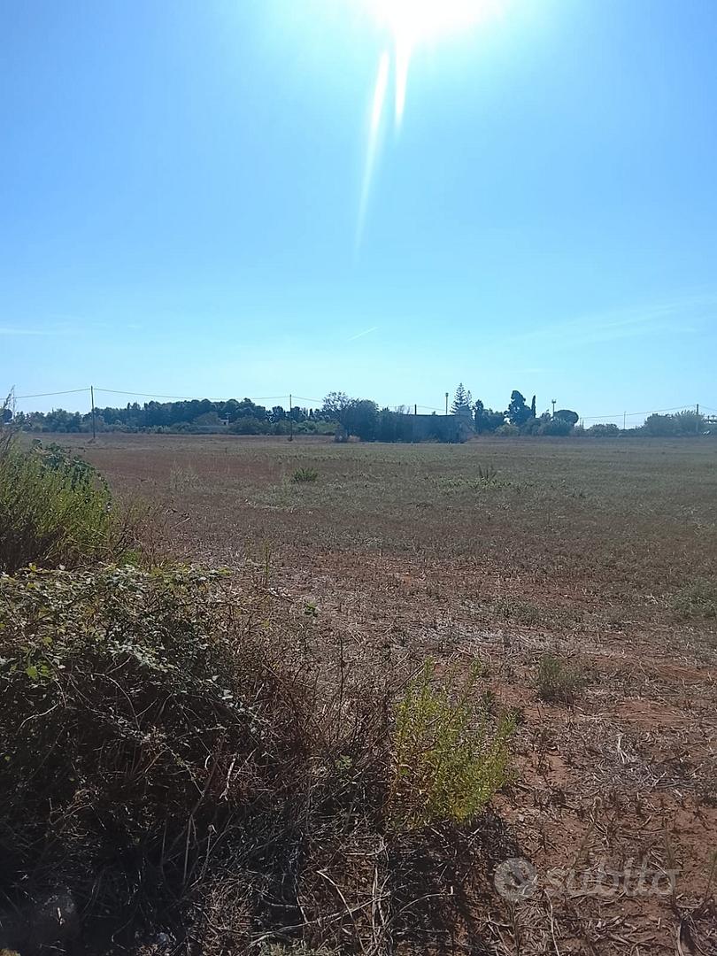 terreno agricolo a Uggiano M.sco ta. - Vista 3