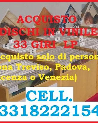 Dischi in vinile in lotto