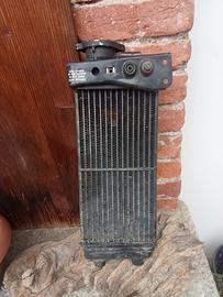 radiatore 125. Aprila. 