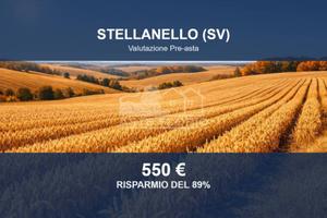 Immobile in asta di 2203 m² a Stellanello