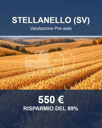 Immobile in asta di 2203 m² a Stellanello