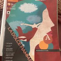 La dolce fiamma Vol. A (Narrativa)