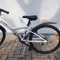 Bicicletta bambino ruota 24