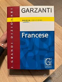 Dizionario di Francese