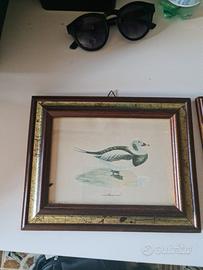 Quadro