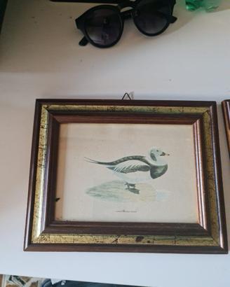 Quadro