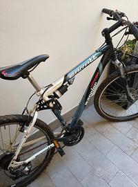 mountain bike