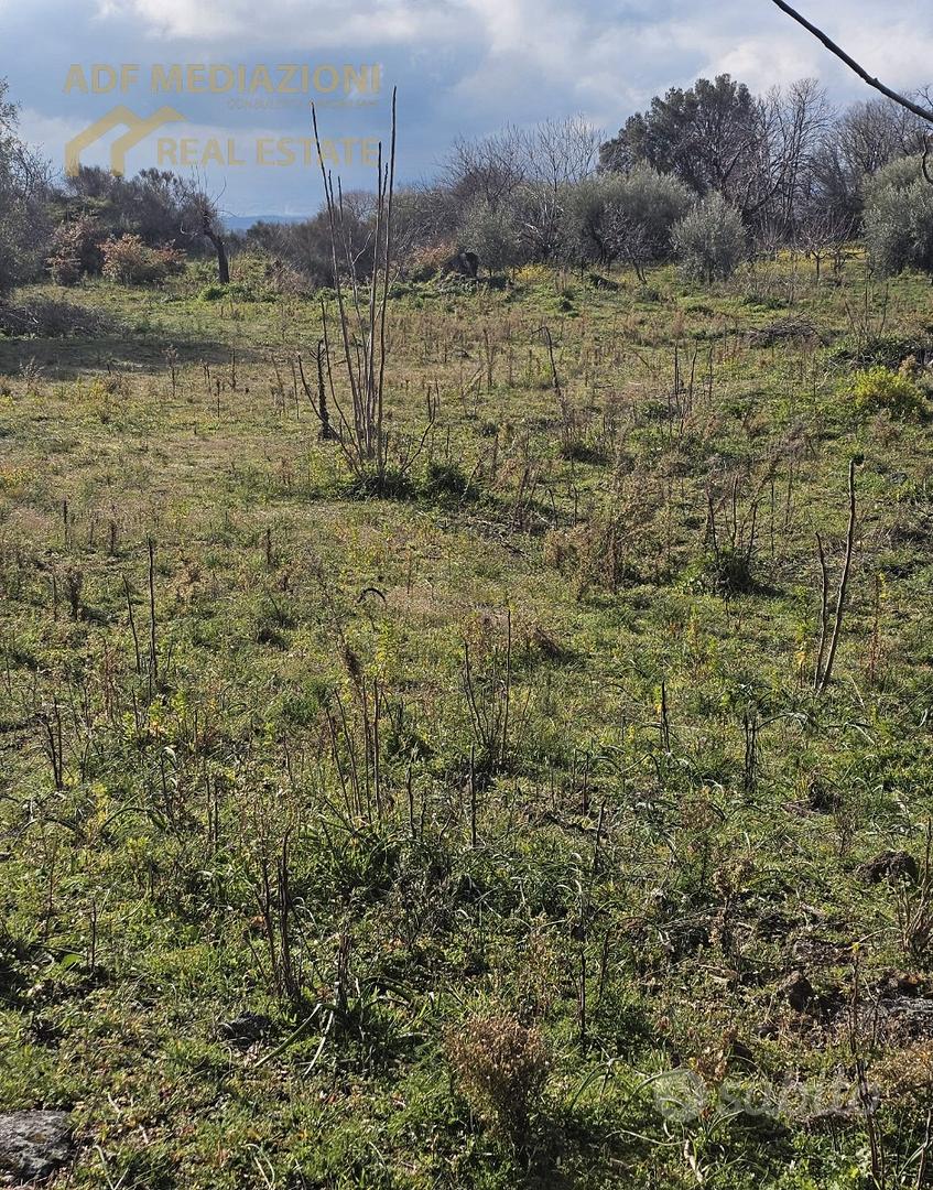 Terreno Panoramico Con Rudere - Vista 2