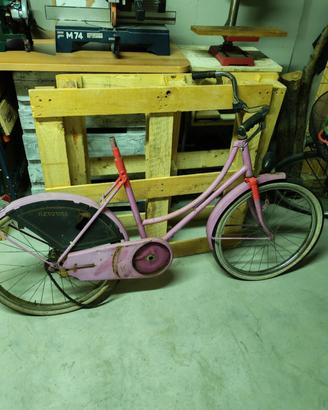 Telaio Bici