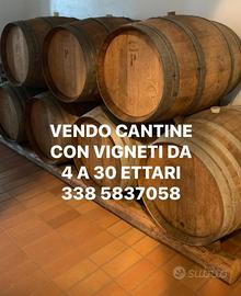 Cantina