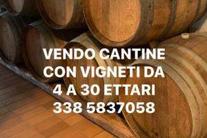 Cantina