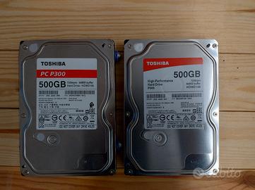 Coppia di Hard Drive 500GB