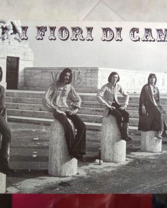Cartolina Fiori di Campo