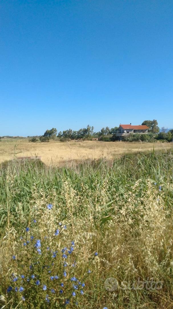 Terreno agricolo a Cabras - Vista 2