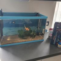 Acquario/Tartarughiera