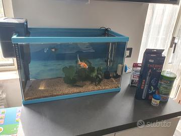 Acquario/Tartarughiera