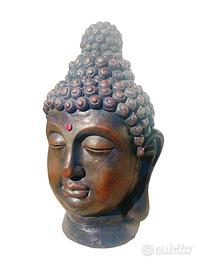 Testa di Buddha decorazione giardino