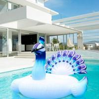 Gonfiabile galleggiante pavone