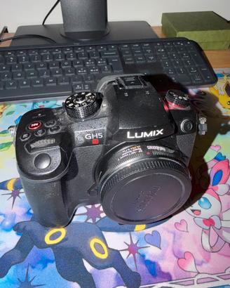 Gh5s Usata