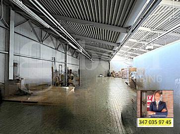 Capannone Industriale Villorba