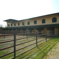 Box cavalli in scuderia