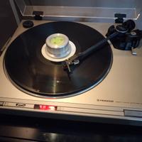 Pioneer pl 4 automatic driver al quarzo 