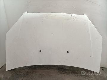 COFANO ANTERIORE FIAT Doblo Serie Restyling 519343