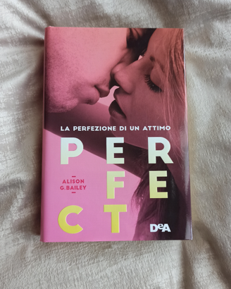 Perfect la perfezione di un attimo - A. G. Bailey