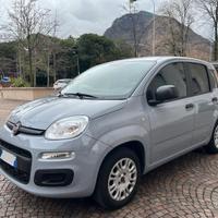 Fiat Panda 1.2 Lounge 2018 (51 kw) benzina