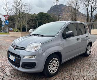 Fiat Panda 1.2 Lounge 2018 (51 kw) benzina