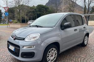 Fiat Panda 1.2 Lounge 2018 (51 kw) benzina