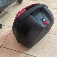 Bauletto per scarabeo 50