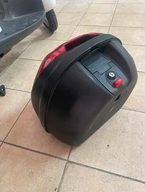 Bauletto per scarabeo 50