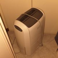deumidificatore delonghi