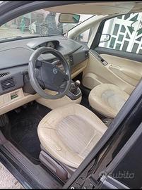 Lancia musa