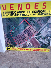 Terreno edificabile