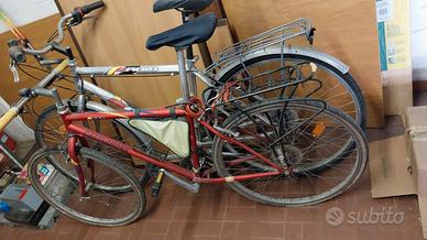 Mountain bike e citybike