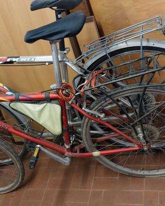 Mountain bike e citybike