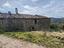 Immagine 7