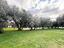 Immagine 21