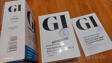 Vocabolario della lingua greca GI