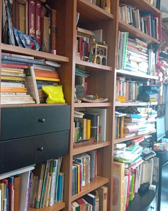 Grande libreria 