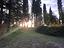 Immagine 11