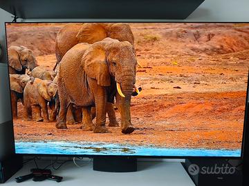Sony OLED 65XR8A 65" pollici