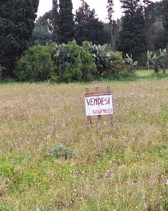 Terreno Agricolo