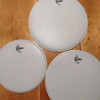 3 pelli REMO Ambassador marchiate Gretsch